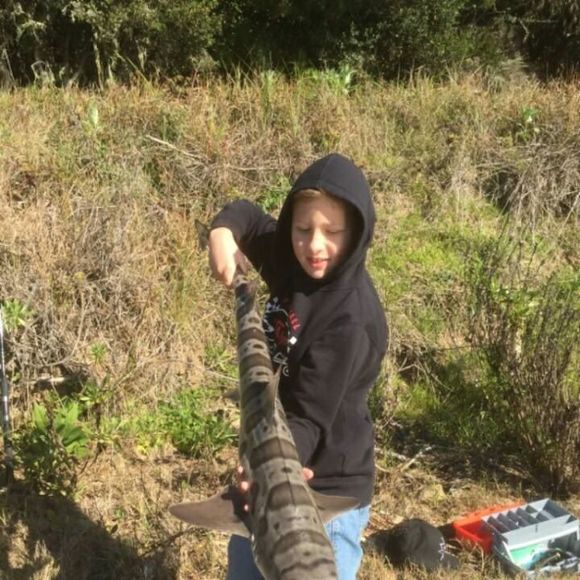 Meet your Posher, Daniel - Picture 1 of 1